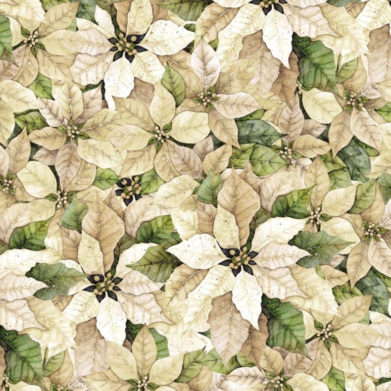 Julestof - Packed Poinsettia - Cream
