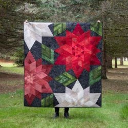 Patchwork M�nster - Crimson Christmas quilt