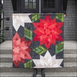 Patchwork M�nster - Crimson Christmas quilt