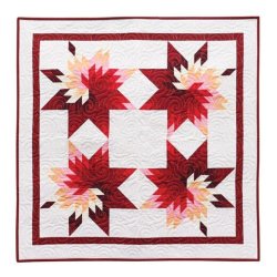 Accuquilt Skabelon - Prairie star 55540