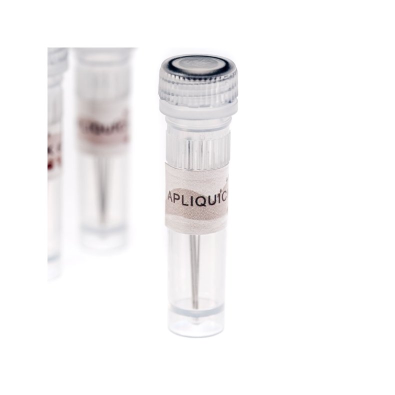 Apliquick - N�le - Str.11