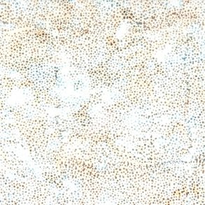 Batikstof - Dot - Harbor