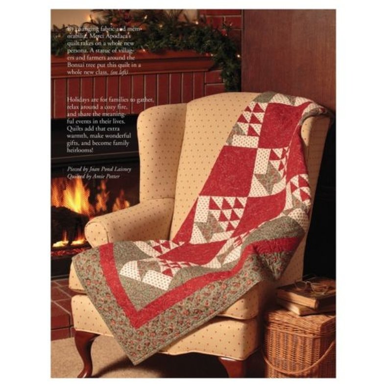 Accuquilt m�nsterbog - Mix &amp; Match Blocks and Quilts