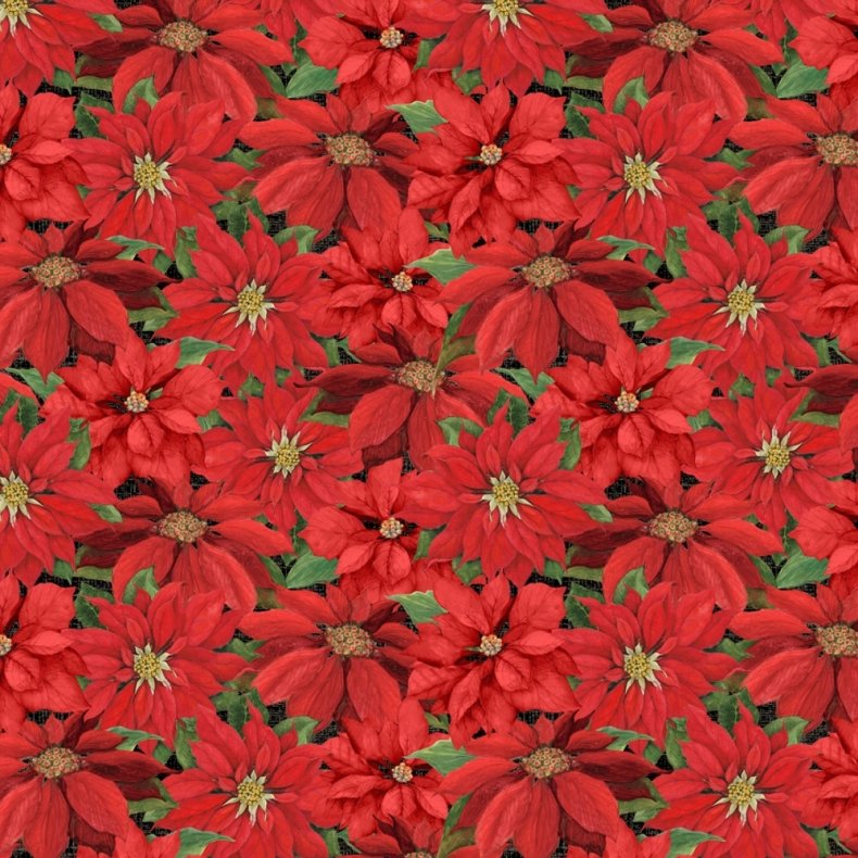 Julepatchworkstof -  Poinsettia julestjerner