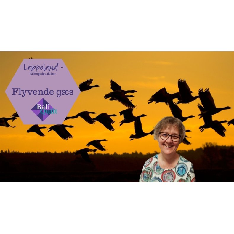 Flyvende G�s - Tag et smugkig