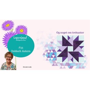 Dobbelt Asters - Tag et smugkig