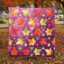 Patchwork M�nster - Fall Foliage