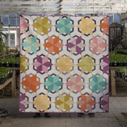 Patchwork M�nster - Vintage windmill quilt