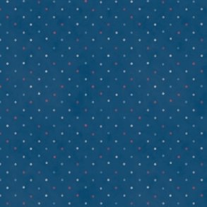 Patchworkstof - Peppercorn - Star spangled